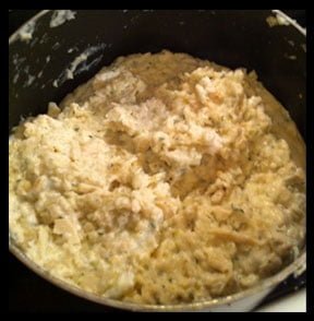 Turkey mixed with the white sauce