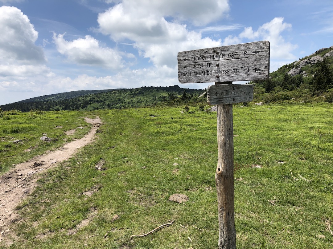 trail head at mt rogers rec area