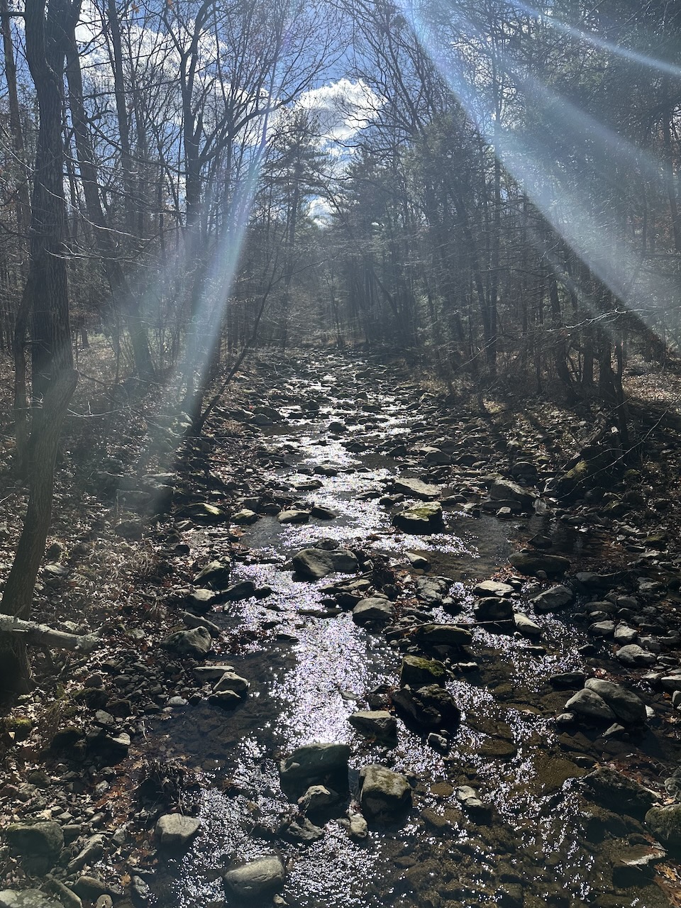sun shining on creek
