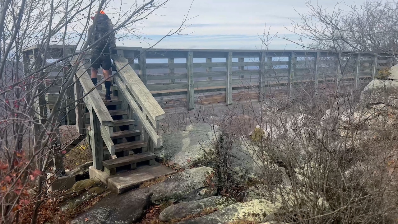 man on wooden bridge