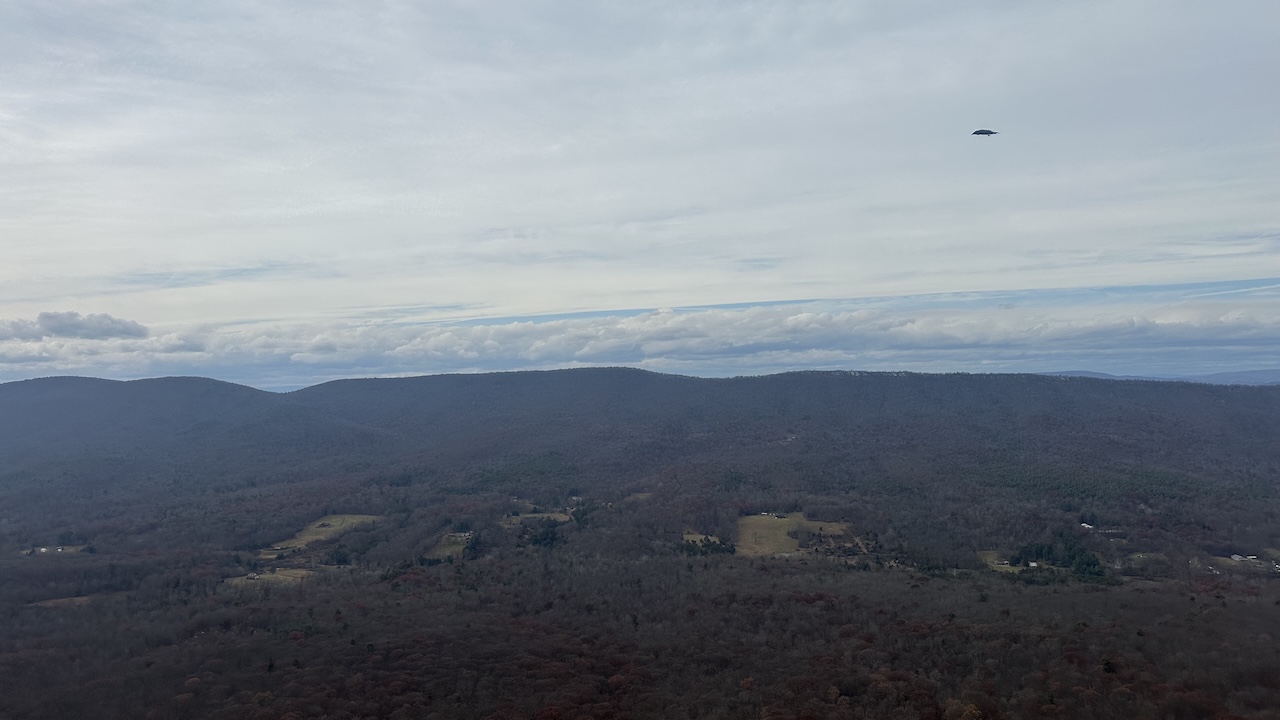 bird flying in sky over valley
