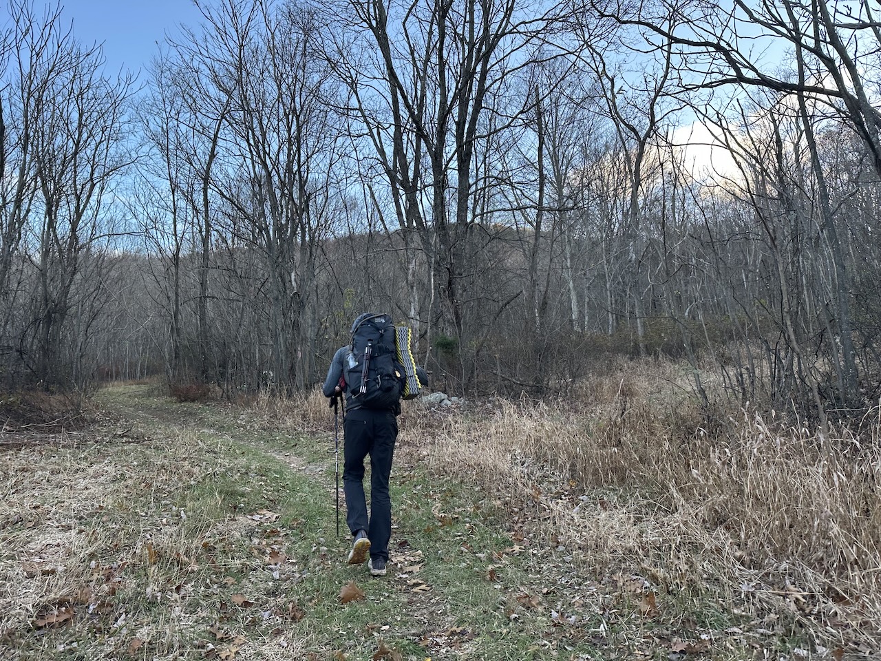 hiker walking in woods